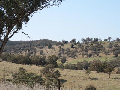 Turondale