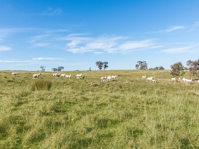 CA 14 CA 14 Meadow Valley Road, Heathcote