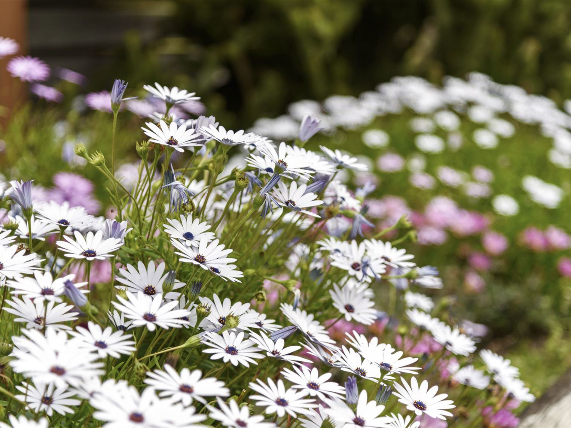 90 Lake Conjola Entrance Road, Lake Conjola