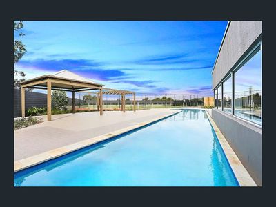 213 / 81-86 Courallie Avenue, Homebush West