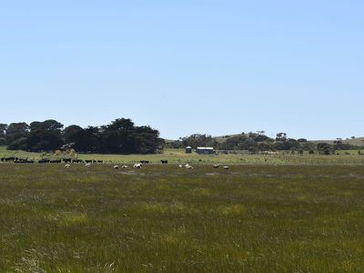 1404 Canunda Frontage Road, Millicent