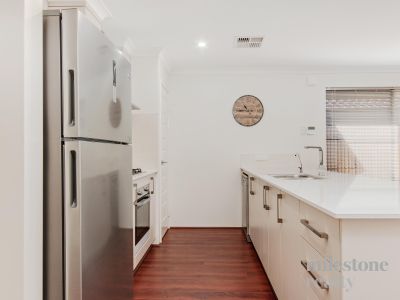 100 Mornington Crescent, Wandi