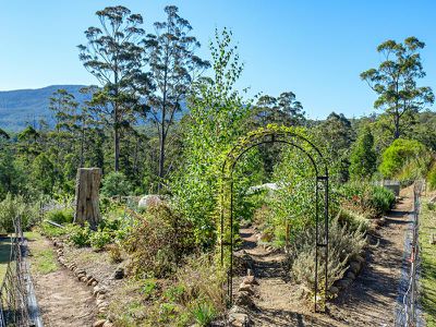 634 Tobys Hill Road, Cygnet