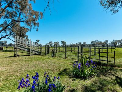 787 Howlong-Barnawartha Road, Barnawartha