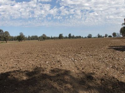 Lot 42 Orange Grove Road, Gunnedah
