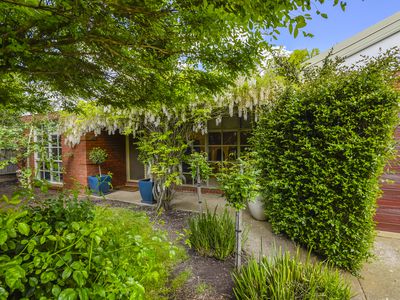 18 Vista Close, Gisborne