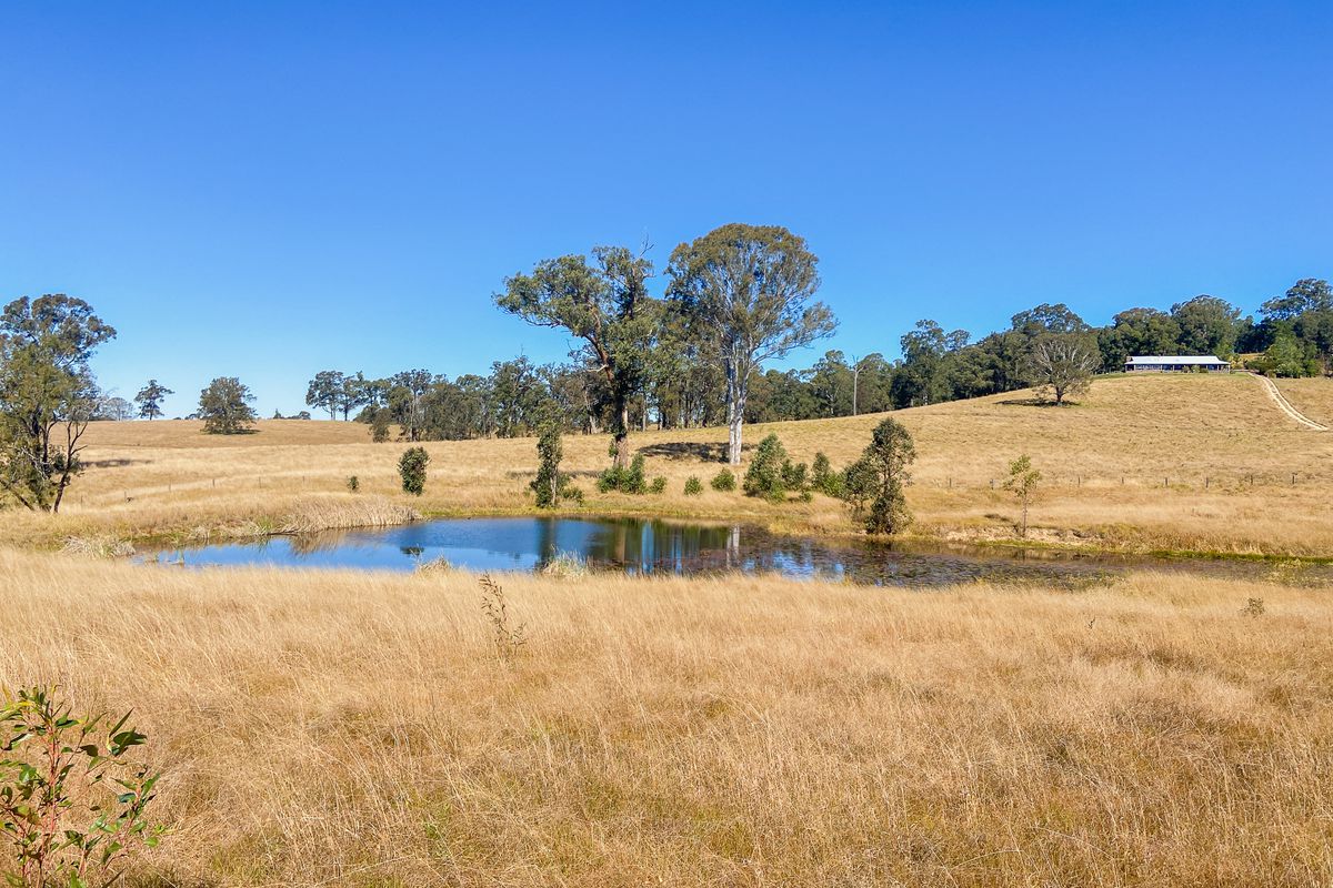 79 Mooral Creek Road, Wingham