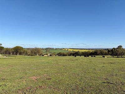967 Bunmulling Road, East Popanyinning
