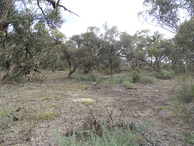 309 Lower Loddon Rd, Kerang