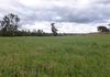 5220 The Escort Way Toogong, Orange