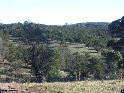 111 Sheepskin Road, Burragate