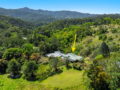 197 Palmwoods Road, Palmwoods