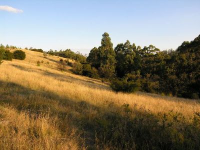 Lot 10, Cradoc Hill Road, Cygnet