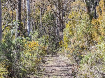 Lot 2 Pottery Road, Garden Island Creek