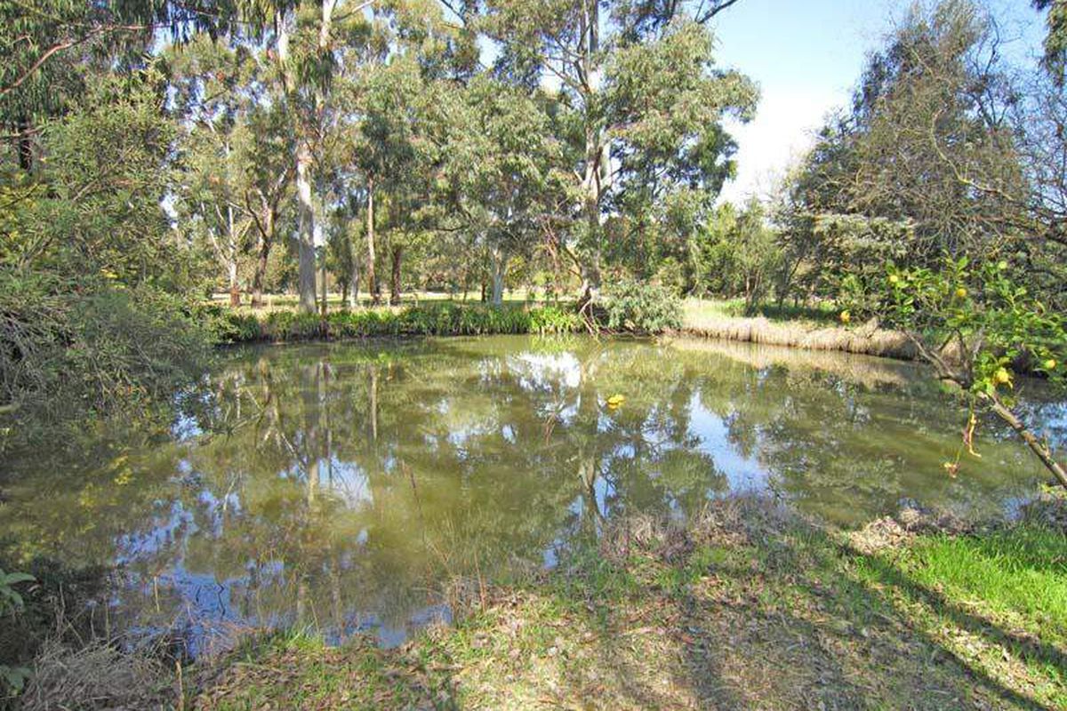 62 Howards Lane, Kyabram