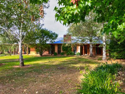 3104 Jingellic Road, Lankeys Creek
