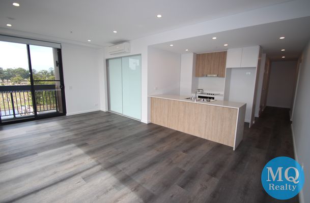 509 / 11 RAPHAEL STREET, Lidcombe