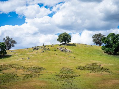 4118 Murray River Road, Thologolong