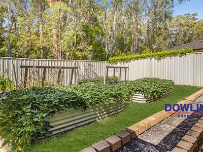 26 Lillypilly Close, Medowie