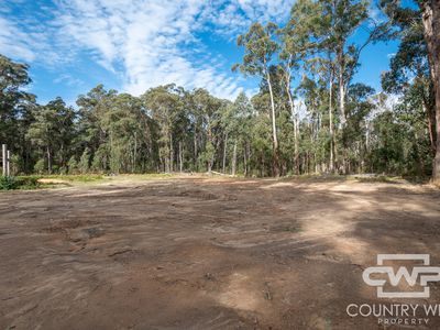 106 Warra Forest Road, Mount Mitchell