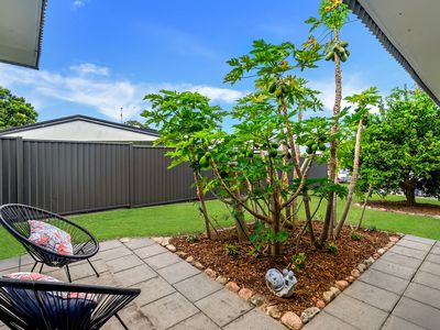 7 Wilcox Close, Manoora