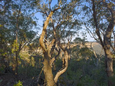 114 Sublime Point Road, Leura