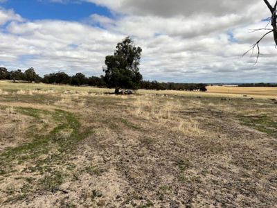 351 Cooke Road, East Popanyinning