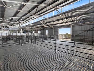 498 Four Tree Road, Lismore