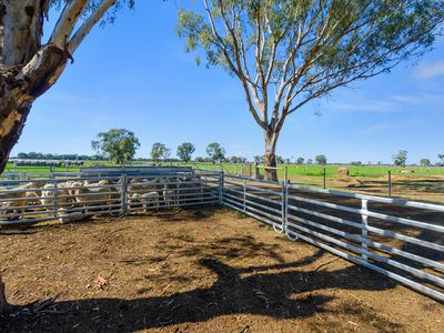 341  MV Hwy, Strathmerton