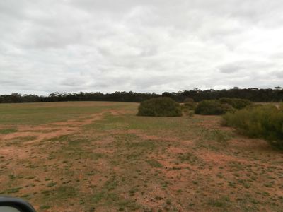 126 Nine Mile South Road, Wedderburn