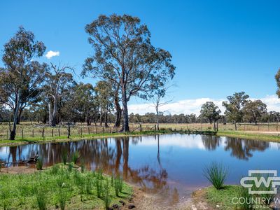 21 Torrington road , Torrington