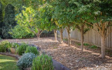 11 Belvedere Court, Gembrook