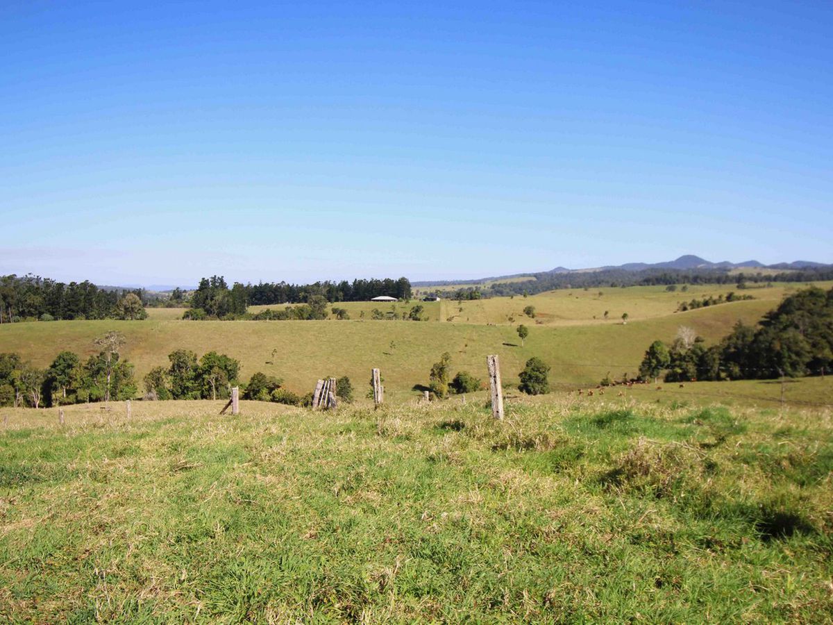 Millaa Millaa