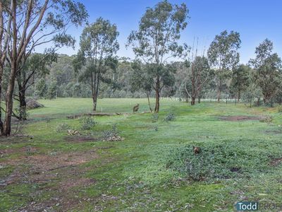 Warren Road, Heathcote