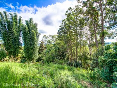 59 Balmoral Road, Montville