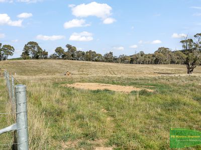 4616 Trunkey Road, Arkell