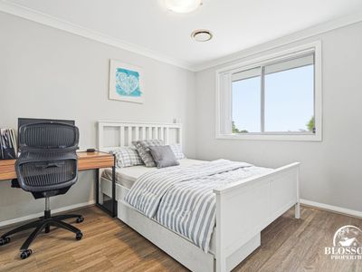 300b Flushcombe Road, Prospect