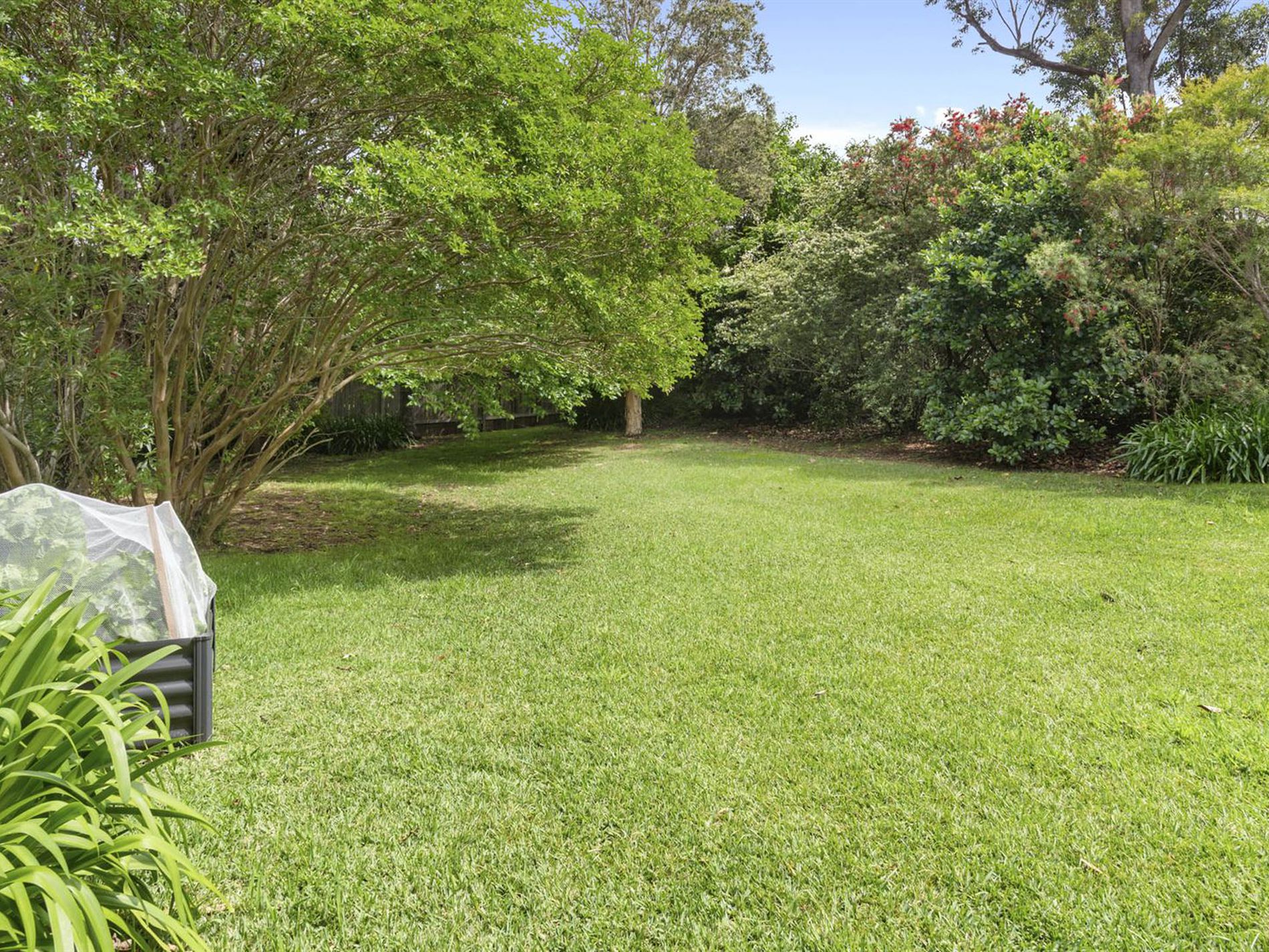 63 Carroll Avenue, Mollymook