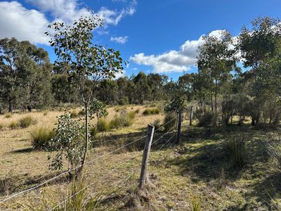 454 Cainbil Road, Coolah
