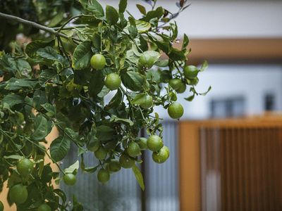 14 / 71 Brewer Street, Perth