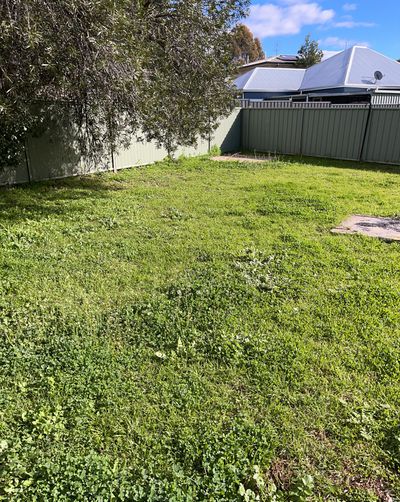 16 Petra Avenue, Tamworth