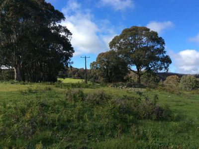 280 Landscape Road, Tallarook