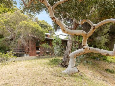 53 King Albert Road, Trigg