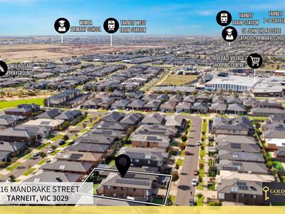 16 Mandrake Street, Tarneit