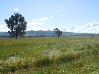 Lot 11 Gerogery Road, Gerogery