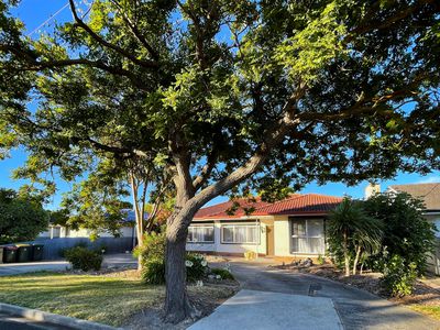 12 English Drive, Millicent