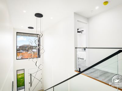 86 Feathertail Avenure, Marsden Park