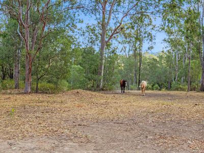 563 Stanmore Road, Yatala