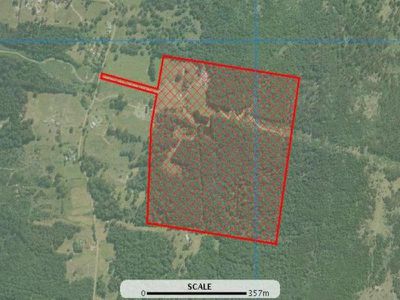 225 Umfrevilles Road, Kaoota