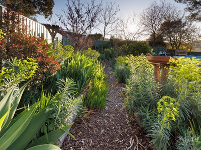 11 ARDERN PLACE, Wodonga
